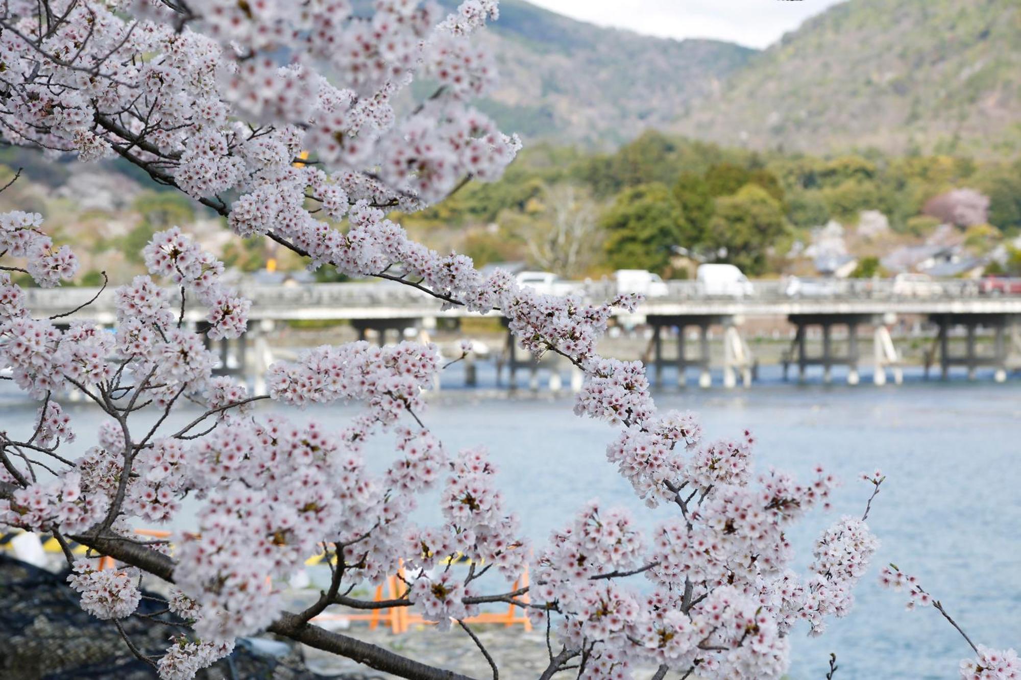 Kyoto Arashiyama Onsen Ryokan Togetsutei Esterno foto